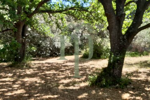 Helårsgrund i Ostuni, Brindisi, Ostuni - € 410.000 | Ref: Terreno Rella14 - foto 1